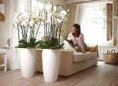 Nova Planters